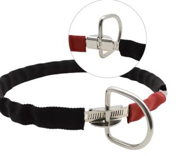 Preview: D-Ring Halter